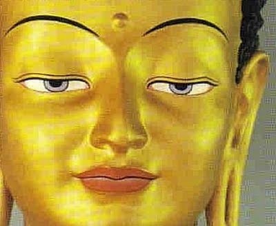 Đức Phật đã chỉ cho chúng sinh con đường thoát khổ bằng nhiều phương cách (cụ thể, có 84.000 pháp môn - con đường thoát khổ)